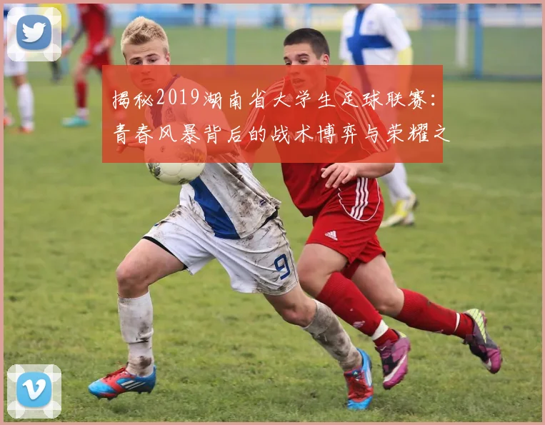 揭秘2019湖南省大学生足球联赛：青春风暴背后的战术博弈与荣耀之争